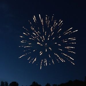 Meet your Posher, Frances